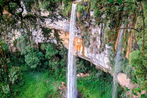 Tarapoto: Tour de medio día a la catarata de Ahuashiyacu