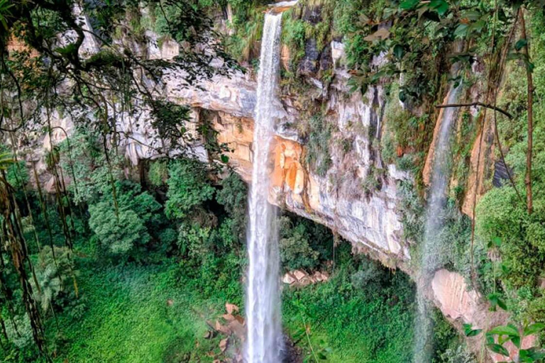 Tarapoto: Tour de medio día a la catarata de Ahuashiyacu