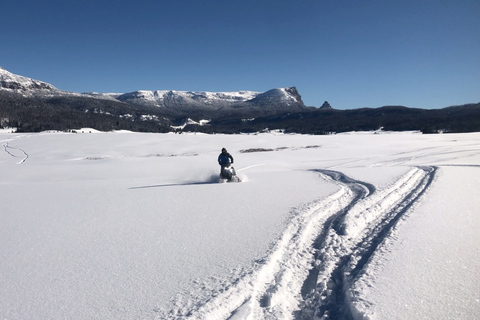 Jackson Hole: Turpin Meadow Snowmobile Tour Half-Day Morning Tour- Driver Only