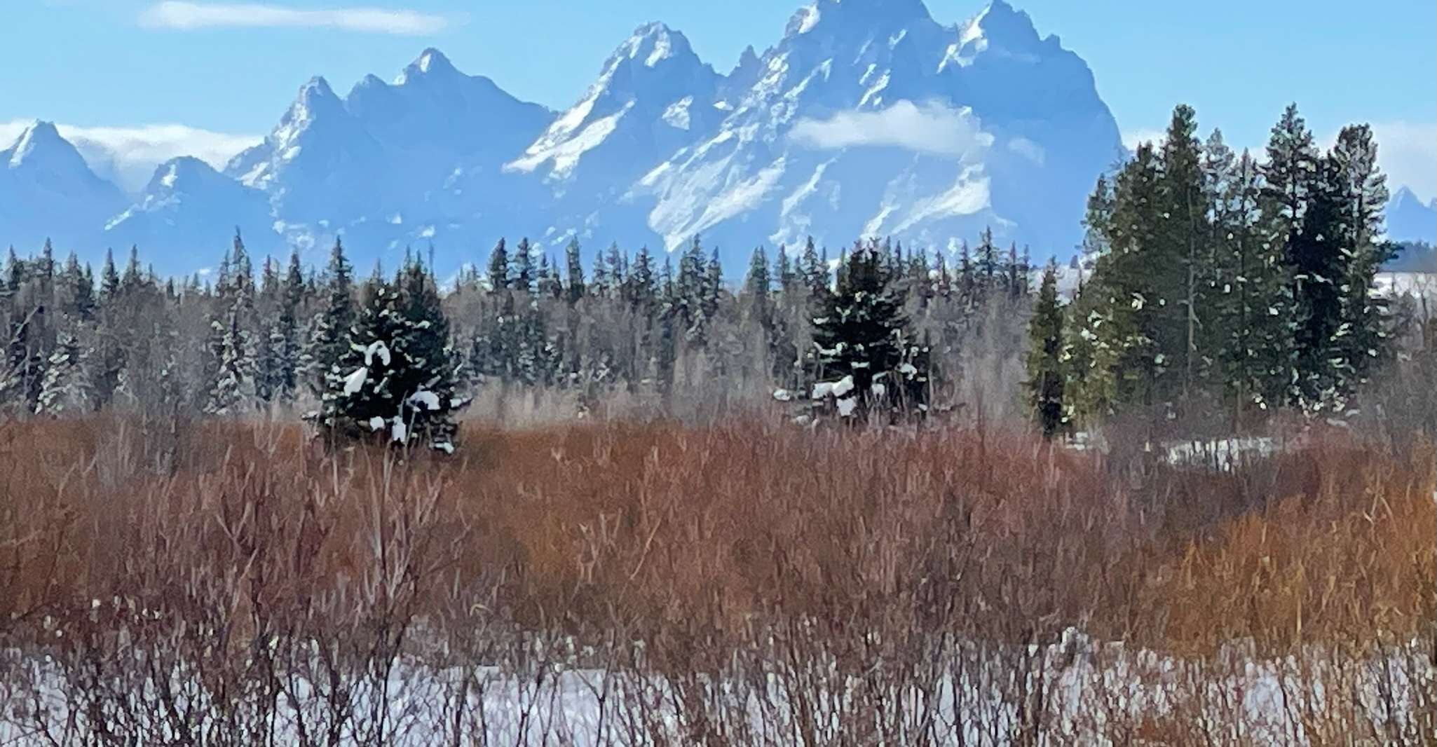 Jackson Hole, Turpin Meadow Snowmobile Tour - Hizvo