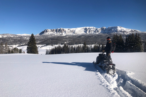 Jackson Hole: Turpin Meadow Snowmobile Tour Half-Day Morning Tour- Driver Only