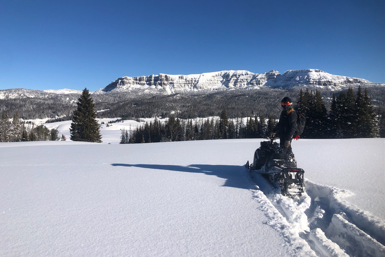 Jackson Hole: Turpin Meadow Snowmobile Tour Half-Day Morning Tour- Driver Only