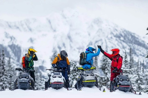 Jackson Hole: Turpin Meadow Snowmobile Tour Half-Day Morning Tour- Driver Only