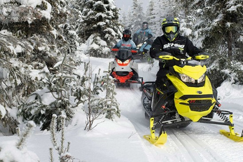 Jackson Hole: Turpin Meadow Snowmobile Tour Half-Day Morning Tour- Driver Only