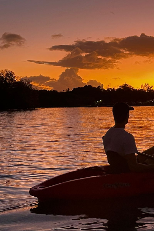 Galería de fotos para redes