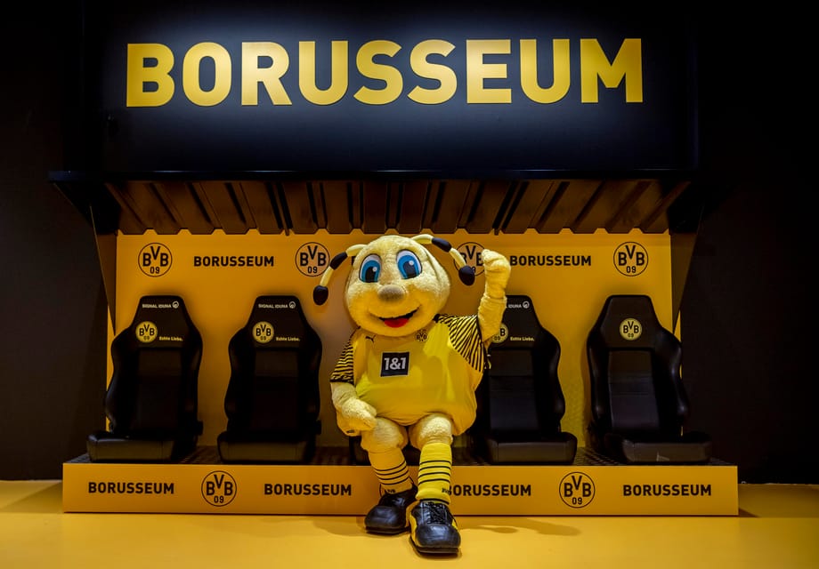 Dortmund Borusseum Borussia Dortmund Museum Eintrittskarte GetYourGuide