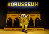 Dortmund, Borusseum Borussia Dortmund Museum Entry Ticket - Housity
