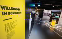 Dortmund, Borusseum Borussia Dortmund Museum Entry Ticket - Housity
