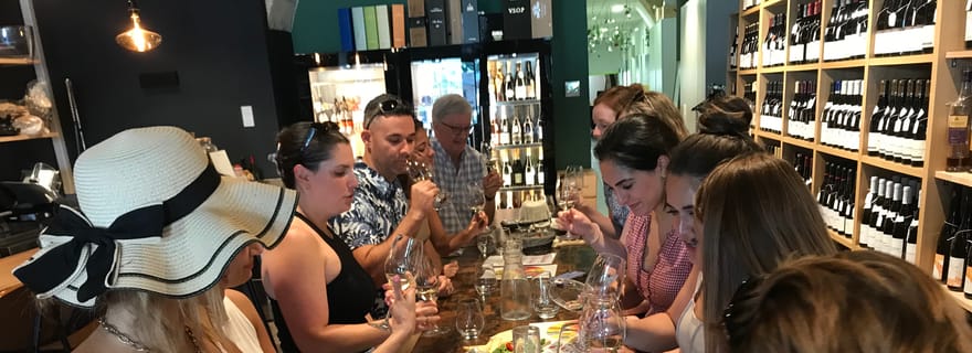 Bordeaux : visite de l'histoire du vin avec dégustation