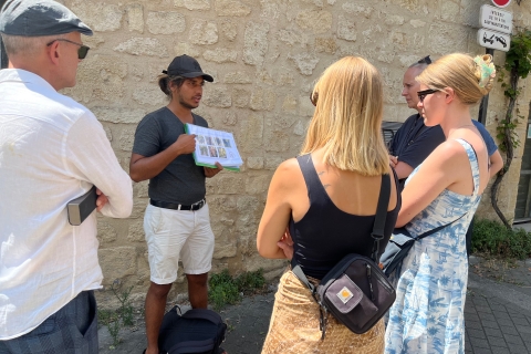 Bordeaux: Weinhistorische Tour mit Verkostung