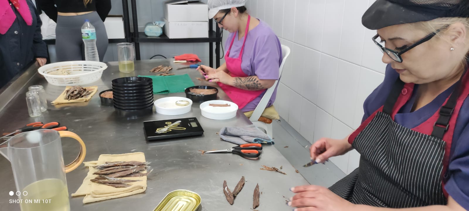 Santoña und Sardellenfabrik-Tour ab Santander – kleine Gruppe