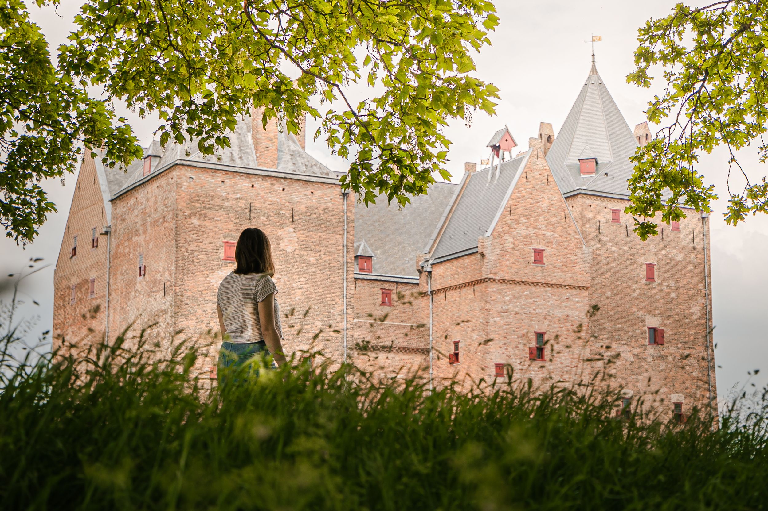 Eintrittskarte für Schloss Loevestein