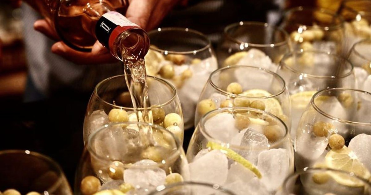 Castagnole delle Lanze Food and Wine Guided Walking Tour GetYourGuide