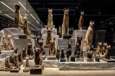 Biglietto d'ingresso al Museo di Sharm el-Sheikh e trasferimento privato in hotel