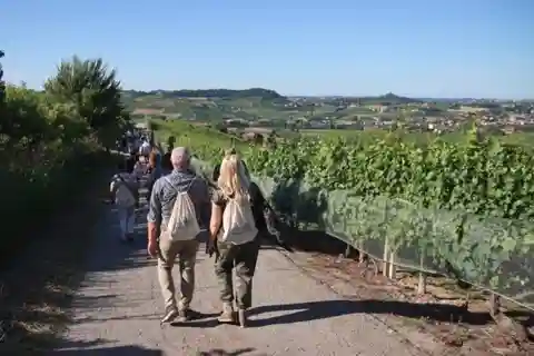 Castagnole delle Lanze: Safranvandring med vin og mad