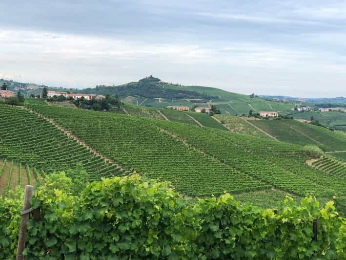 Costigliole d'Asti: Guided Walking Tour with Wine Tasting | GetYourGuide