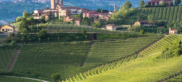Visit Neive Cycling Tour from Neive to Barbaresco in Alba