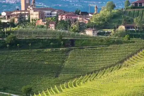 Neive: Cicloturismo da Neive a Barbaresco