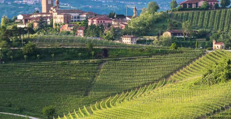 Neave Bc Neive: Cycling Tour from Neive to Barbaresco | GetYourGuide