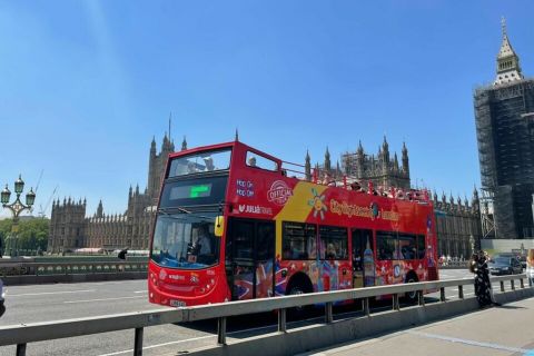 London: Royal & Harry Potter Walking Tours with Bus & Cruise