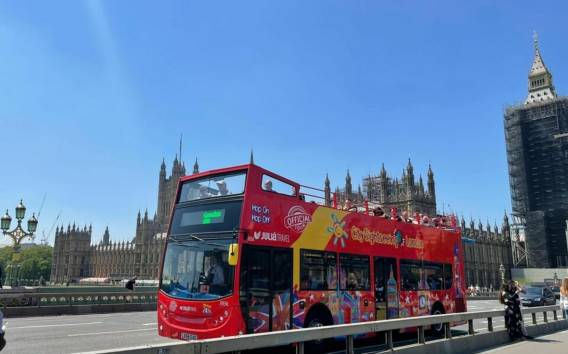 London: Royal & Harry Potter Walking Tours mit Bus & Kreuzfahrt