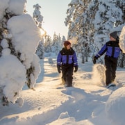 Ylläs : Randonnée en forêt en raquettes