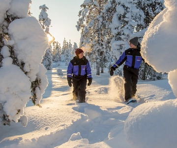 Ylläs: Excursión por el bosque con raquetas de nieve