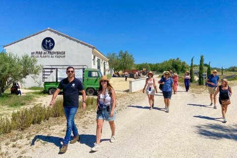Lavender Field & Distillery Tour between Nimes & Arles