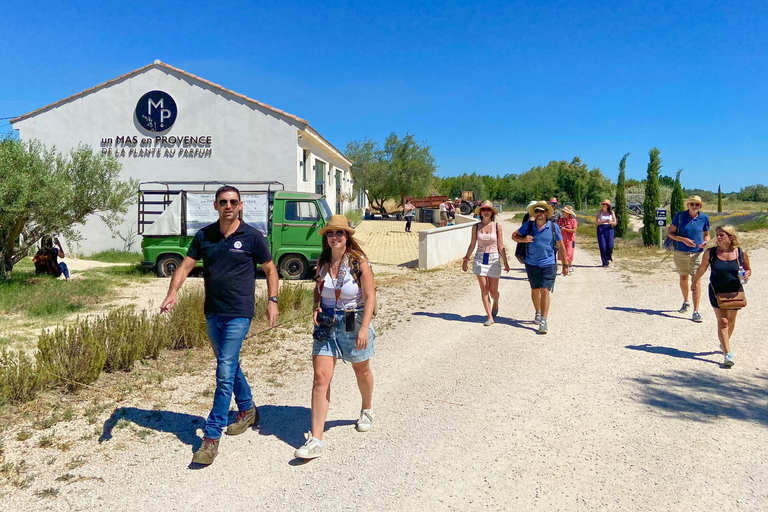 Tour del campo di lavanda e della distilleria tra Nimes e Arles