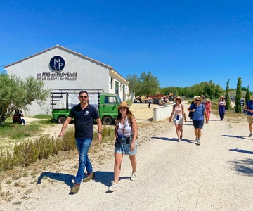 Lavender Field & Distillery Tour between Nimes & Arles