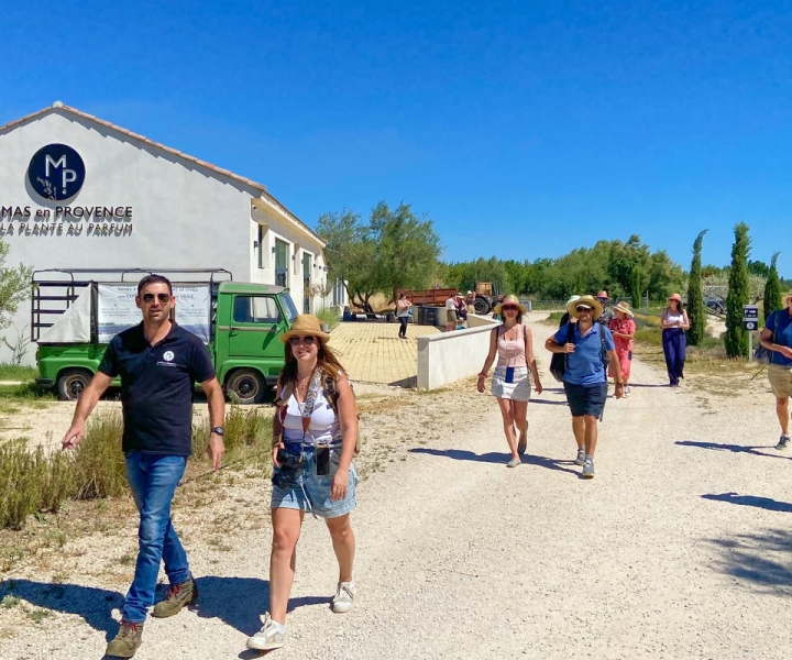 Wycieczka po polach lawendy i destylarni między Nimes i Arles