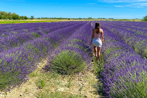 Excursión al Campo de Lavanda y la Destilería entre Nimes y Arles