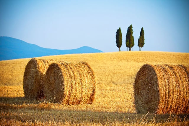 Da Roma: gita giornaliera privata in Toscana