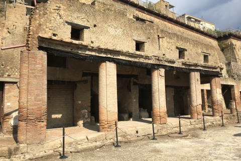 Pompeii en Herculaneum: privétour met een archeoloog