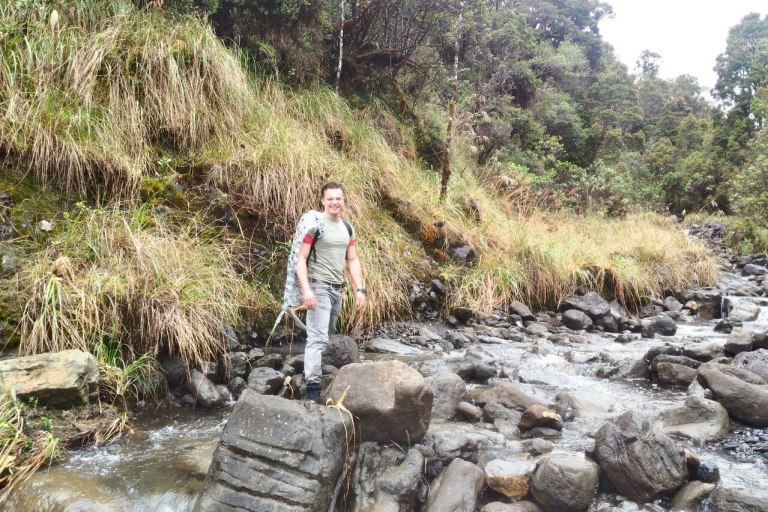 De Bogotá : éco-visite du parc national de ChingazaDe Bogota: visite écologique du parc national de Chingaza