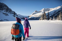 Da Banff, Icefields Parkway & Abraham Lake Ice Bubbles - Hizvo