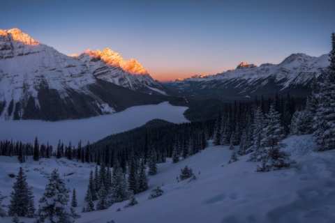 Au départ de Banff : Visite de la promenade des Glaciers avec randonnée en raquettes