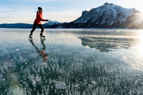 Au départ de Banff : Visite de la promenade des Glaciers avec randonnée en raquettes