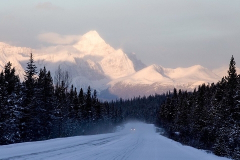 From Banff: Icefields Parkway Tour with Snowshoeing Hike