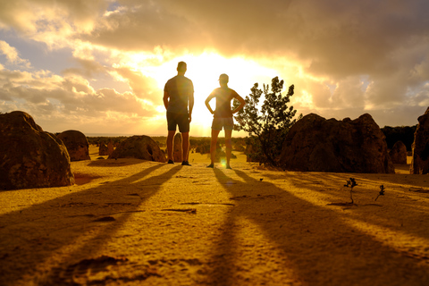 From Perth: Pinnacles Sunset and Stargazing Tour with Dinner