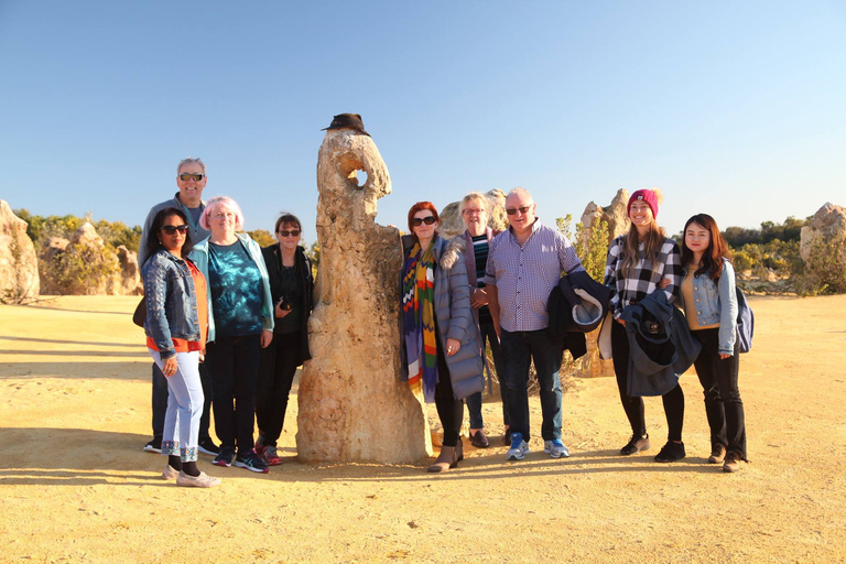 Z Perth: Pinnacles Sunset and Stargazing Tour z kolacją