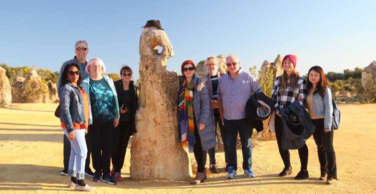 From Perth Pinnacles Sunset and Stargazing Tour with Dinner GetYourGuide