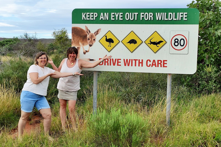 From Perth: Pinnacles Sunset and Stargazing Tour with Dinner