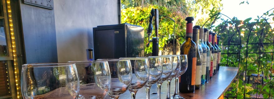 St. Augustine : Visite à pied avec vin, cocktails et nourriture