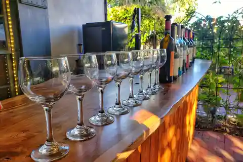 Walking Tour with Wine, Cocktails, and Food