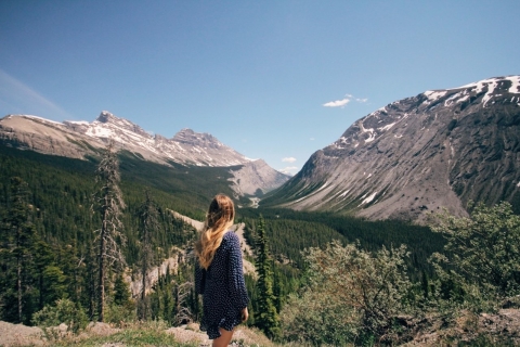 Banff: Explorador de la Ruta de los Campos de HieloDesde Banff Explorador de verano de la Ruta de los Campos de Hielo