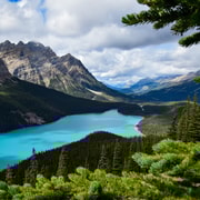 Von Banff: Premium-Führung mit Tagestour auf dem malerischen Icefields Parkway