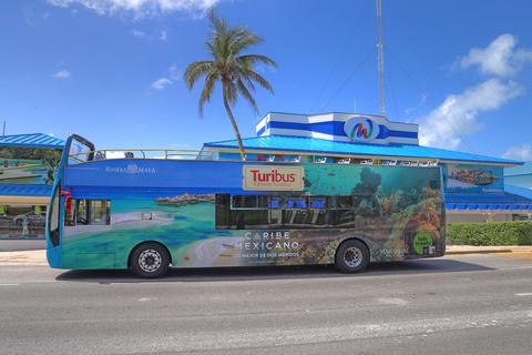 Excursión en Autobús Hop-on Hop-off de Cancún y Hard Rock Beach Club