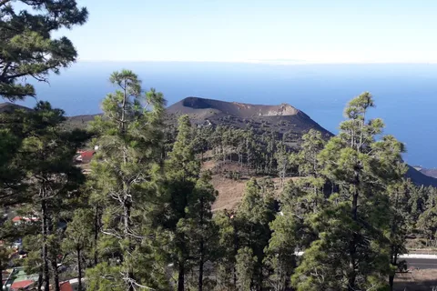 La Palma: San Antonio und Teneguia Vulkane Tour mit dem 4x4 Bus