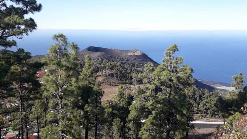 La Palma : Sud Tour ai vulcani in autobus 4x4